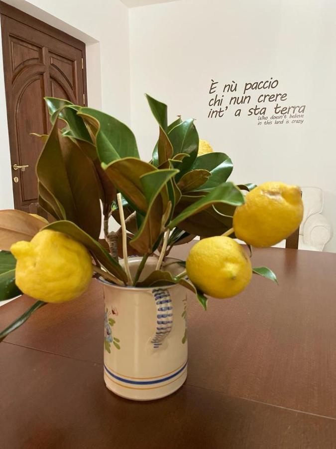 B&B Casa Letizia Trentinara Экстерьер фото